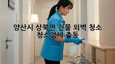 양산시 상북면 건물 외벽 청소, 청소업체 출동!