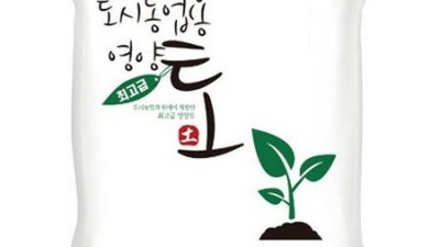 놓치면 후회! 담따몰 꿀템 할인 & 솔직 후기🍯